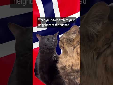 The Norwegian dugnad