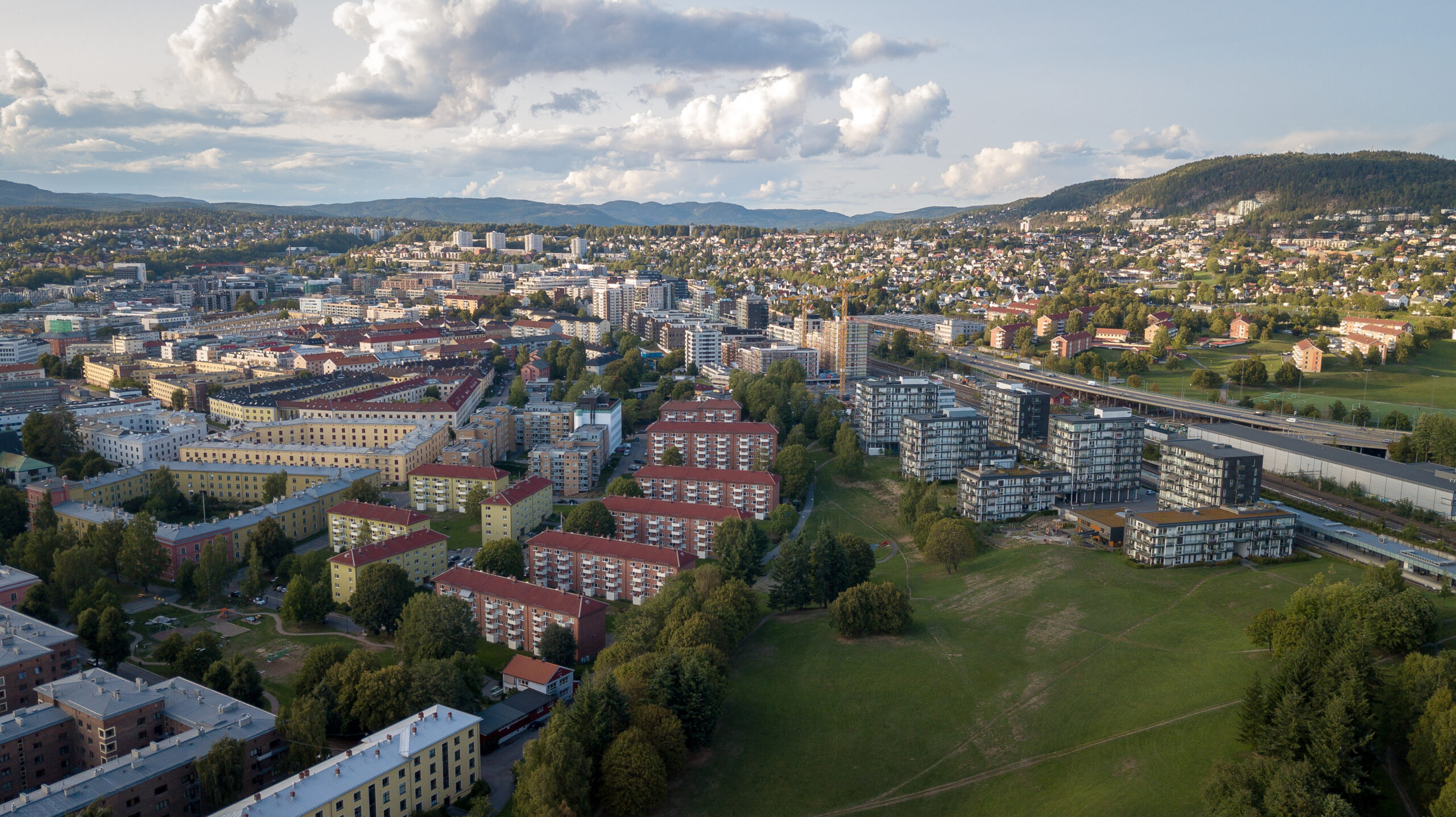 Discover Torshov: Your Oslo Neighborhood Guide - Working with Norwegians